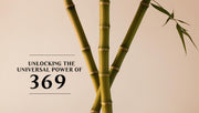  universal power of 369
